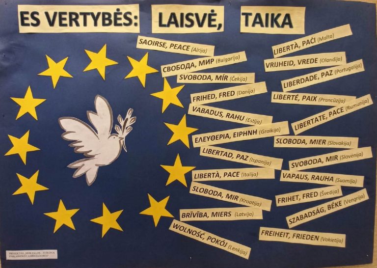 Dalyvavimas nuotolinėje diskusijoje „Rinkimų svarba ir savivaldos galia” bei parengtas plakatas Vasario 16 šventei.
